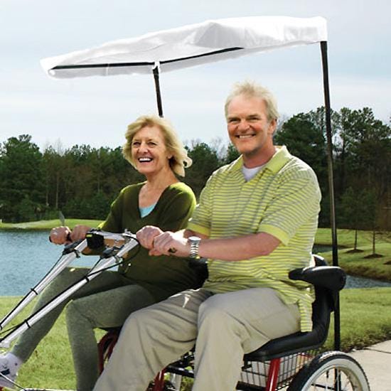 Surrey Canopy Accessory for Side by Side Bike 2124880